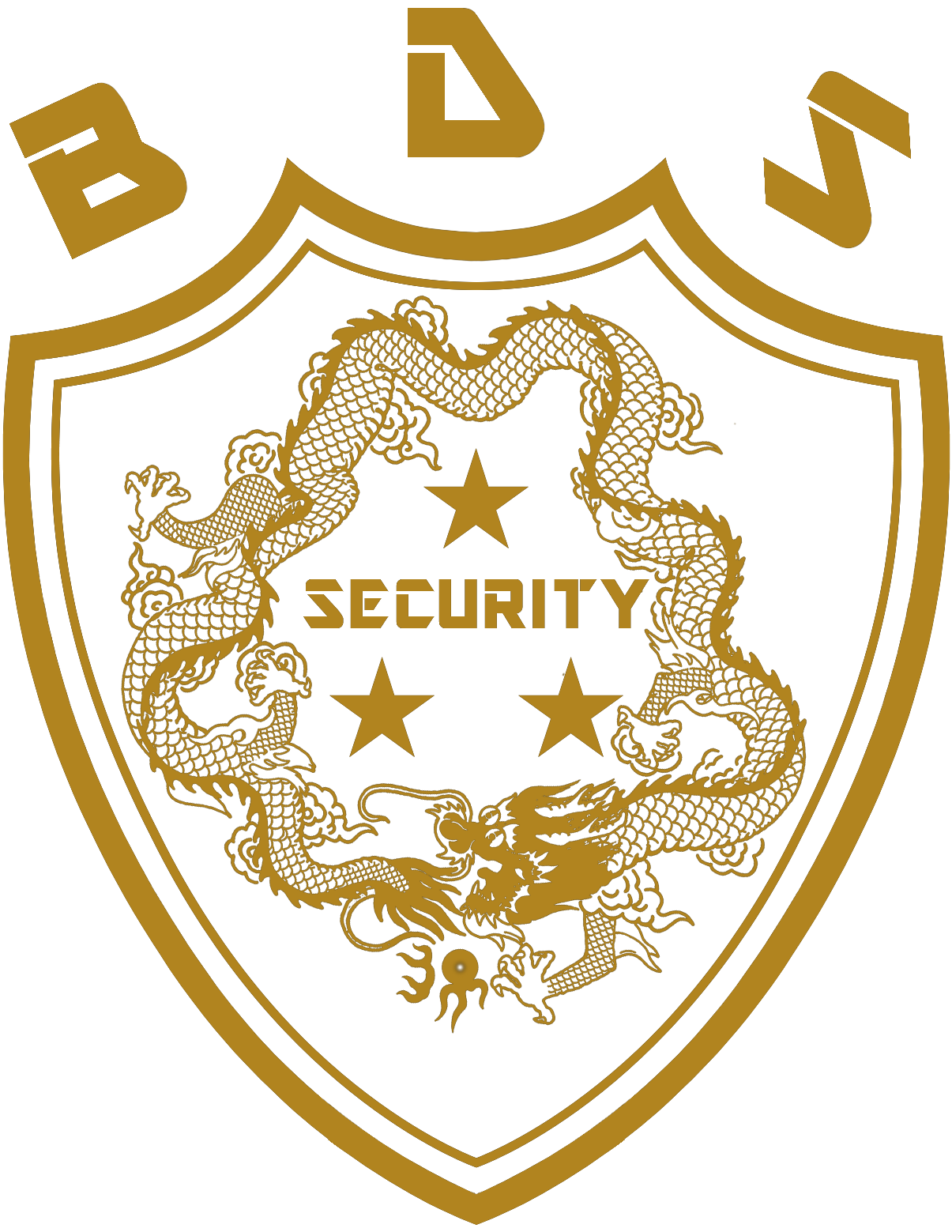 Blue Dragon Security